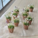 율하로1L | [김해율하도서관] 나만의 비즈식물 힐링 원데이클래스 출강 후기｜부산공방 시옷지읒