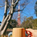 카페테라(Cafe tera) | 도쿄타워 근처 감성 뷰 카페, 테라카페 시엔(Tera Cafe Shien Zojo-ji)