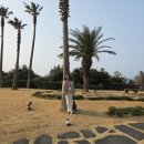 언니네텃밭 음성여농협동조합 | 언니네텃밭전체조합원연수 제주에서