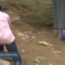 윤경이네 이미지