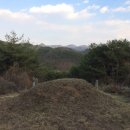 진주 가봉리 숙부인 상산박씨 묘비 및 석인상 네이버블로그