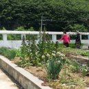 반송1동경로당 이미지