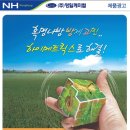 영일광고 이미지