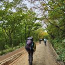 지리산 성중대간(성삼재 ~천왕봉~중산리 40km) 종주산행 1박2일 2023년 10월 08일~09일 (1) 이미지