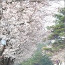 남도마을로문화센터 이미지