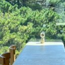 오케이다방 이미지