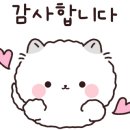떡볶이참잘하는집;떡참부산