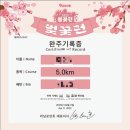 2025 마라톤 추천! 마라톤 온라인 대회 애니멀런 마라톤 벚꽃 마라톤 참가 후기