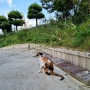 점순 농장 이미지