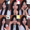 행복도배