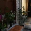 더 해움 이미지