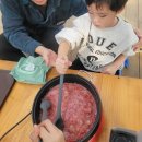 [일산, 파주, 서울 근교] 아이랑 갈만한 곳 딸기 체험 “일산농원”