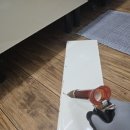 차단 방역, 유입경로 차단을 못할 수밖에 없는 진짜 이유를 알려드립니다. (벌레자비 입주방역 후기)