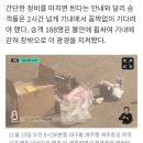 &#34;꼴 보니 사고 나겠네&#34;…제주항공 6주 전엔 승객 태우고 공항서 2시간 엔진 수리 이미지