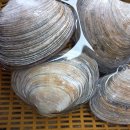 당진어시장 이미지