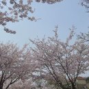 문라이트캠핑장 이미지