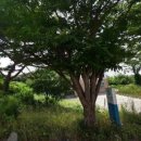 회현보건지소 이미지