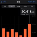 도쿄 벚꽃 1등 나카메구로 다녀 온 썰 푼다 [스타벅스 리저브 로스터리 도쿄, 카스테라 명가 @후쿠사야...