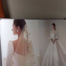 초이스샵 | 울산웨딩샵 최종 결정 후기! 투어부터 초이스까지~ 솔직후기