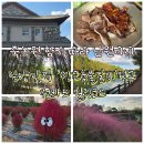 핑크뮬리 꽃단지 원 | 여행 코스 | 숯불향 가득한 &#39;쌍교숯불갈비&#39; 먹고 죽녹원·관방제림·남원 신생마을 꽃단지 다녀온 후기
