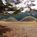 금오산 고위산 산행기 이미지