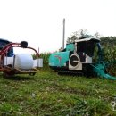 명품횡성한우가 이미지