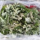 미실농장 이미지