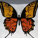 (주)지티엘커뮤니케이션 이미지