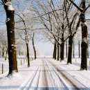 아름다운삶 이미지