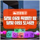 빛나는 도서관 | 달빛 아래 특별한 독서의 밤을 즐겨요 &lt;2025 달빛야외도서관 후기&gt;