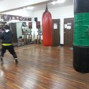 동부은성 복싱체육관 이미지