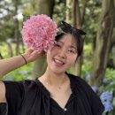 동홍서로 이미지