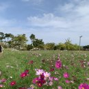 문암생태공원(바베큐장) 이미지