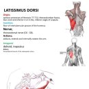 둔산튼튼한의원 이미지