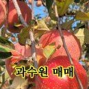 고명공인중개사사무소 네이버블로그