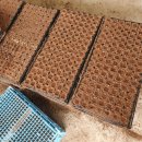 혜은농장 이미지