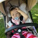 서아목장 이미지