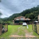 머쉬룸 펜션 이미지