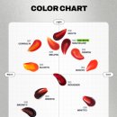 갑-010 | [내돈내산] 오아드 립티크 쿨톤추천 000 뉴테, 004 로지트, 010 모브로즈 색상 비교