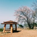 스카이랜드부동산중개법인 이미지