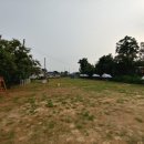 컨트리애견 이미지