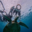 유진트럭서비스 | 보홀 2월 여행 (6) 투어｜발리카삭 호핑 후기 &amp; 보홀트래블 여행카페 할인 꿀팁