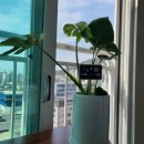 천일프라자(삼성스토어 남포점) | [36형 인테리어] 행복주택 36형 랜선 집들이