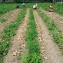 구산농장 이미지