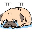 마음담은 동물병원 이미지