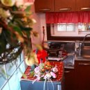 가족사랑체험펜션 이미지