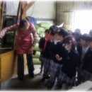 견학정미소 이미지