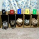 더쿠PC방 이미지