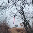 치악산둘레길 3코스 수레너미길 | [치악산둘레길3. 수레너미길(치악산국립공원사무소~태종대)]눈내리는 치악산둘레길(&#39;25, 3/16)