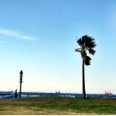 눈꽃초밥 이미지